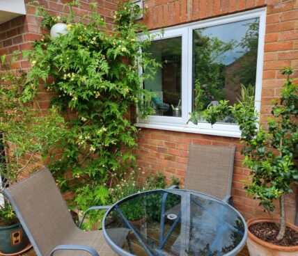 Small patio with climbing plants and a table and chairs
